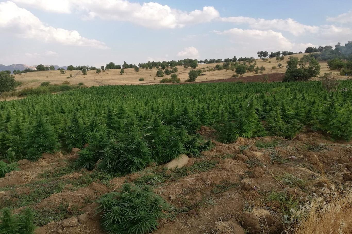 Milyonlarca kişiyi zehirleyebilecek miktarda uyuşturucu ele geçirildi